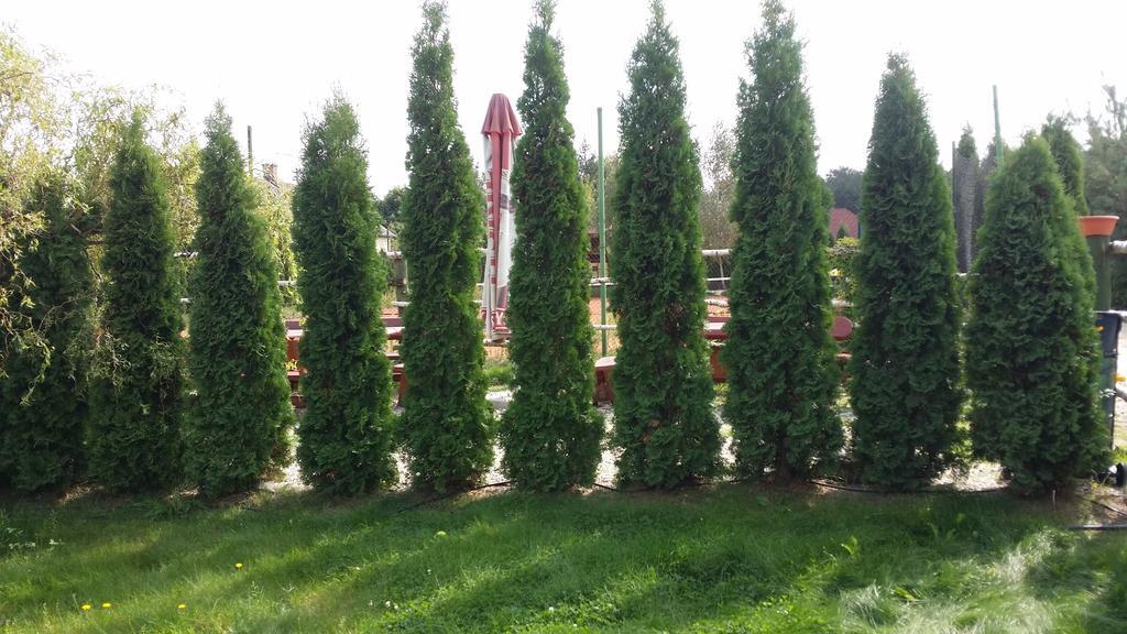 Wyspa Kampinos Brochow Ngoại thất bức ảnh